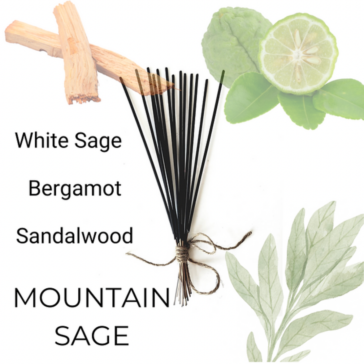 Mountain Sage I Elevated Incense Cones