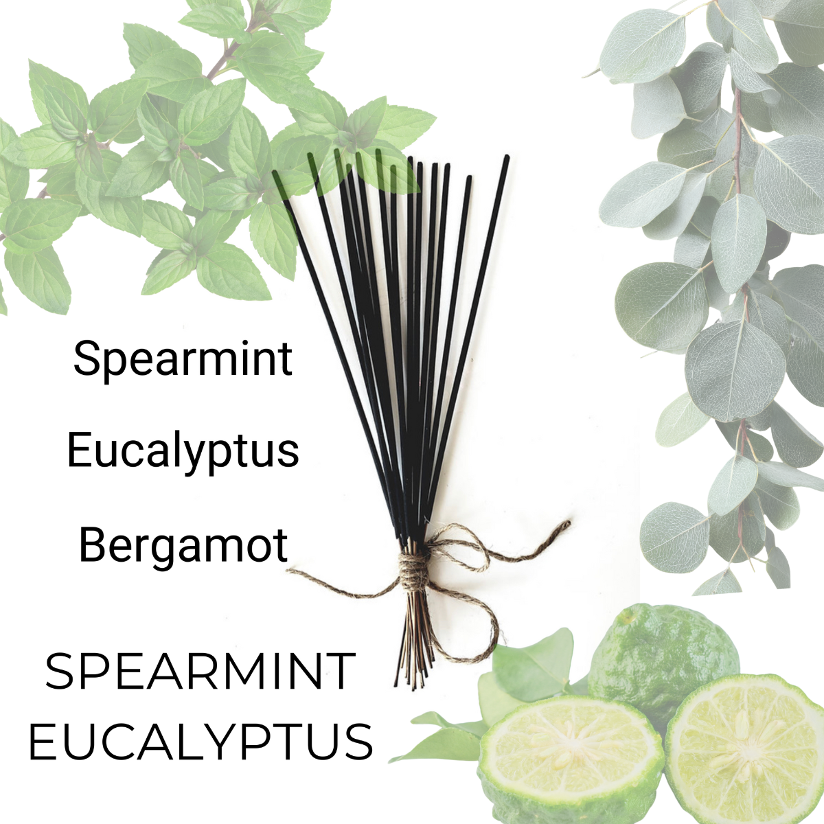 Spearmint Eucalyptus - Non-Toxic Incense image 0