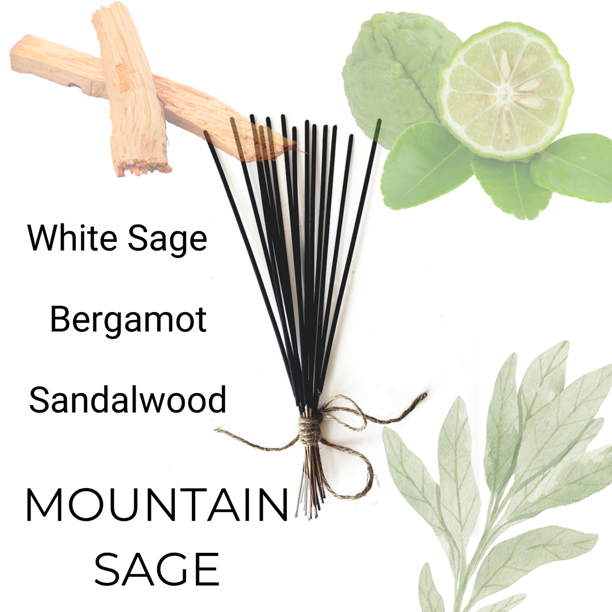 Mountain Sage - Non-Toxic Incense image 0