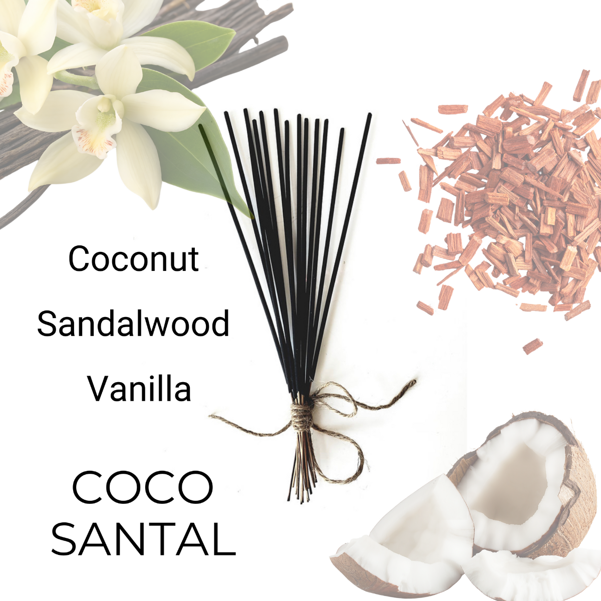 Coco Santal image 0